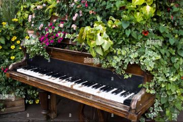 a-grand-piano-in-the-bushes.jpg